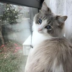 KyobiJP's profile picture. アニメ、漫画、声優等好きです. よろしくです♪ ^_____^🤍