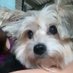Delia (@marizaarza) Twitter profile photo Delia (@marizaarza) Twitter profile photo