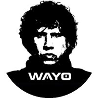 Wayo(@WayoPeru) 's Twitter Profile Photo