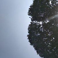 Elyssa Balistreri (@elyssab41338) 's Twitter Profile