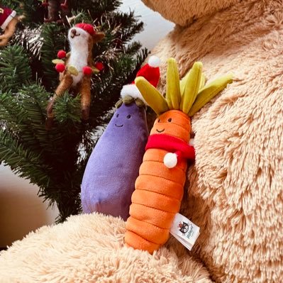 nui_kazoku's profile picture. ぬい垢です✨色んなジャンルのぬいさん好きです🌸フォロー失礼します🙌🏻2024年〜🧸 #ぬい撮り　#ぬいぐるみ