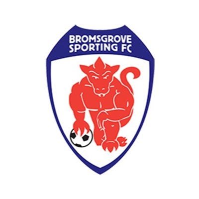 Official account for the Bromsgrove Sporting Ladies. We play in the Midwest Counties Female Football League⚽️ You can also find us on Instagram and Facebook!