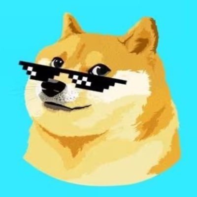 DOGE-1 MISSION activist #DOGE 1$ soon. Anything tweeted is not a financial advice | DM for promo @Ambassador@thecelestiadao@solanapepecoin