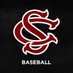 Gamecock Baseball (@GamecockBasebll) Twitter profile photo