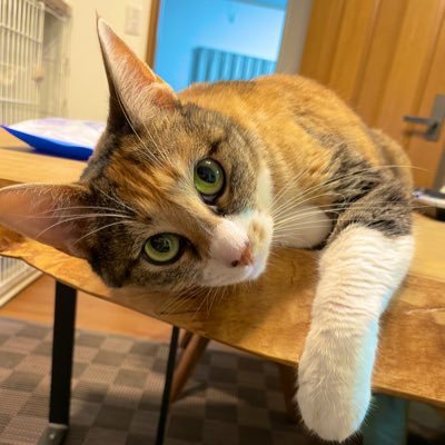 natty695262390's profile picture. 