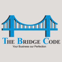 The Bridge Code(@thebridgecode) 's Twitter Profile Photo