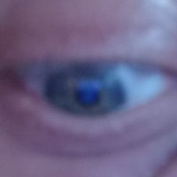 kees keizer (@keessiekeizer) 's Twitter Profile