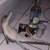 FreePe (@underfreepe) 's Twitter Profile Photo