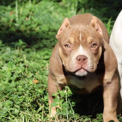 shoeboxmoney_12's profile picture. 💰