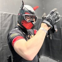 岱燕 (@c6h4cl2_taien) 's Twitter Profile