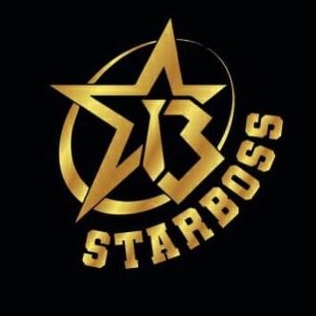 STARBOSS GROUP Profile