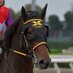 中道厩舎 (@nakamichistable) Twitter profile photo 中道厩舎 (@nakamichistable) Twitter profile photo