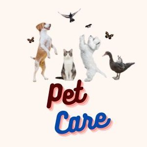 Welcome to Pet Foods Care! 

Founded in 2023 Pet Foods Care is will help you to make a more informed decision when buying and choose the best pet foods
