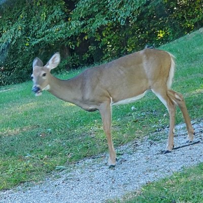 BryanSantiqgo's profile picture. 