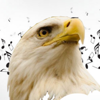 S&V Records (@recordsv14130) 's Twitter Profile