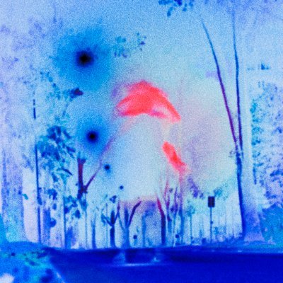 waaaaayne_'s profile picture. music/arts writer, photographer, filmmaker……