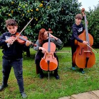 Marga Poza #MakeMusicNoWar #SaveForest/Ocean (@margapoza) 's Twitter Profile