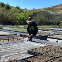 Miro M (@ecology_gems) 's Twitter Profile