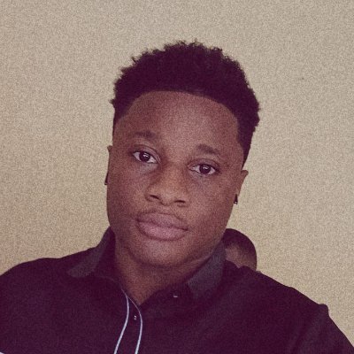 IjeomaChidiebe2's profile picture. Software developer--Golang,rust,js,python, react,express,nest