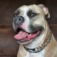 Hayley Deckow (@deckowhayl24404) 's Twitter Profile