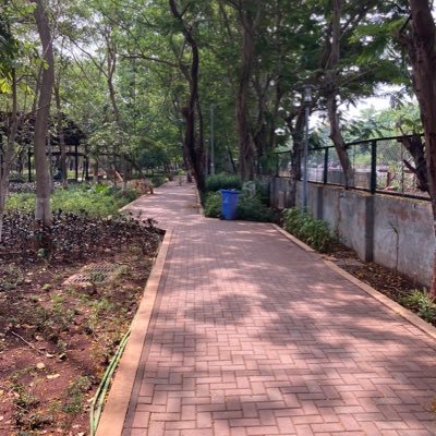 1phsheth's profile picture. transitioned to @sheth