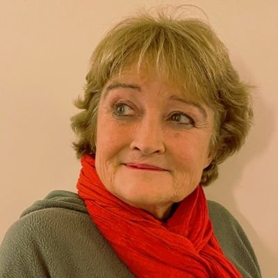 JulieBourdillo3's profile picture. British Patriot. Hard working, tax paying, law abiding Citizen. Warrior for Free speech. Proud Advance UK member