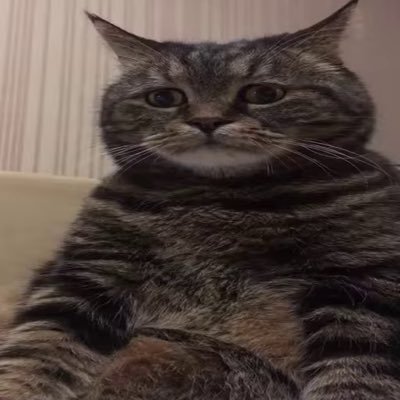 ans45652062's profile picture. 伈