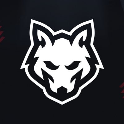 Official Account of HOWL Esports
contact@howlesports.gg