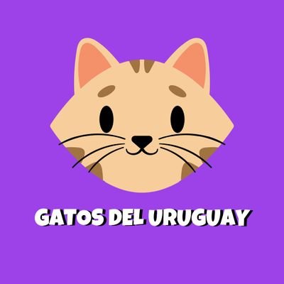 🐾 Pasto de avena 🌱🐈‍⬛🇺🇾
🌱 Ayudamos a buscar a tu michi 🏡
😹 Videos divertidos 😹
📺 Canal de YouTube 👇