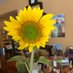 Rick Wintheiser (@wintheiser19416) Twitter profile photo Rick Wintheiser (@wintheiser19416) Twitter profile photo