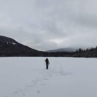 Dalonso78 (@dvalonso78) 's Twitter Profile