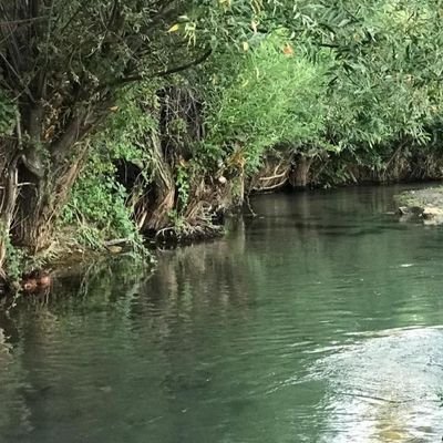 ilknrtpnci's profile picture. (¹⁰•¹²♥️)