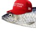 Sardine Patriot #ULTRAMAGA GOD BLESS TRUMP (@sardinepatriot) Twitter profile photo