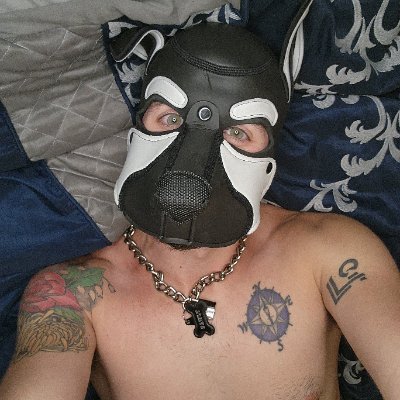 Pawlyboy88 Profile Picture