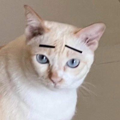 disastersxqueen's profile picture. let the dramas heal when the disasters come —