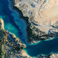 ابو غالب 💚 (@mwdmwd743769977) Twitter profile photo