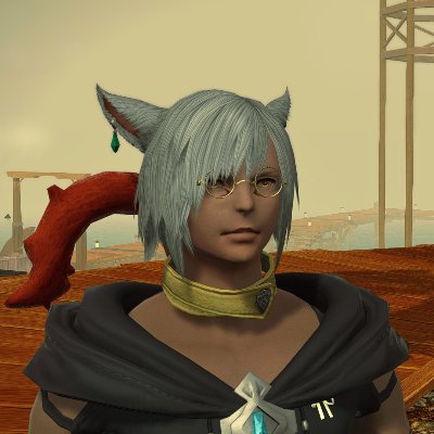 catboyCourier Profile Picture