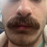 Bartu Baykal (@iambartubaykal) 's Twitter Profile