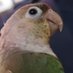 wiresCS (@wirescs) Twitter profile photo wiresCS (@wirescs) Twitter profile photo