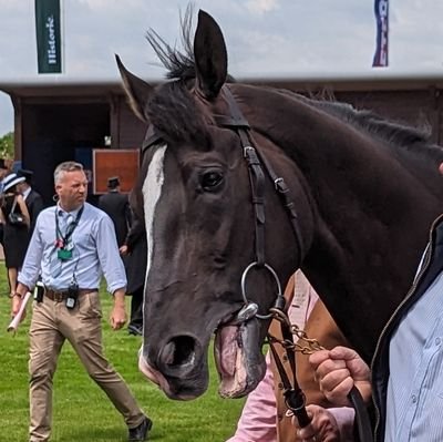 小さな頃から競馬好きで、ディープとその産駒のFan boyです。プロフの画像は英ダービーのオーギュストロダンです