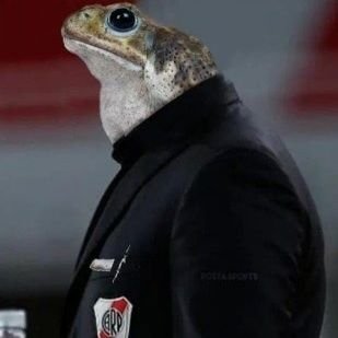 anfibio pharbz
🔴 juanfer me compartió en su historia🔴 barquista de la primera camada 🔴 hincha
de river y de JUAN FERNANDO QUINTERO