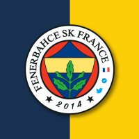 Fenerbahçe SK France 🇫🇷(@Fenerbahce__FR) 's Twitter Profileg