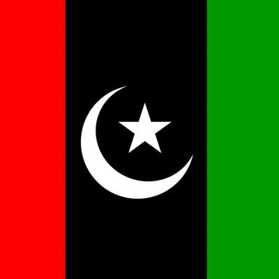 Supporter of PPP 🇱🇾🇱🇾❣️❣️
