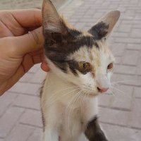 what? (@yoyo_juju5) Twitter profile photo