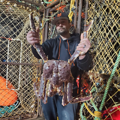 AndreDahmani's profile picture. 