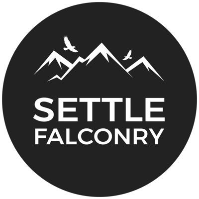 SettleFalconry Profile Picture