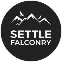 Settle Falconry(@SettleFalconry) 's Twitter Profile Photo