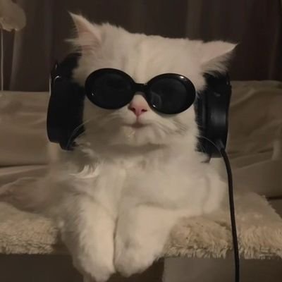 (*꒦ິ꒳꒦ີ)さんのプロフィール画像