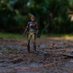 TheToyPhotographer117 (@datoyphotoman) Twitter profile photo TheToyPhotographer117 (@datoyphotoman) Twitter profile photo