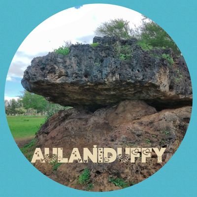 aulaniduffy Profile Picture
